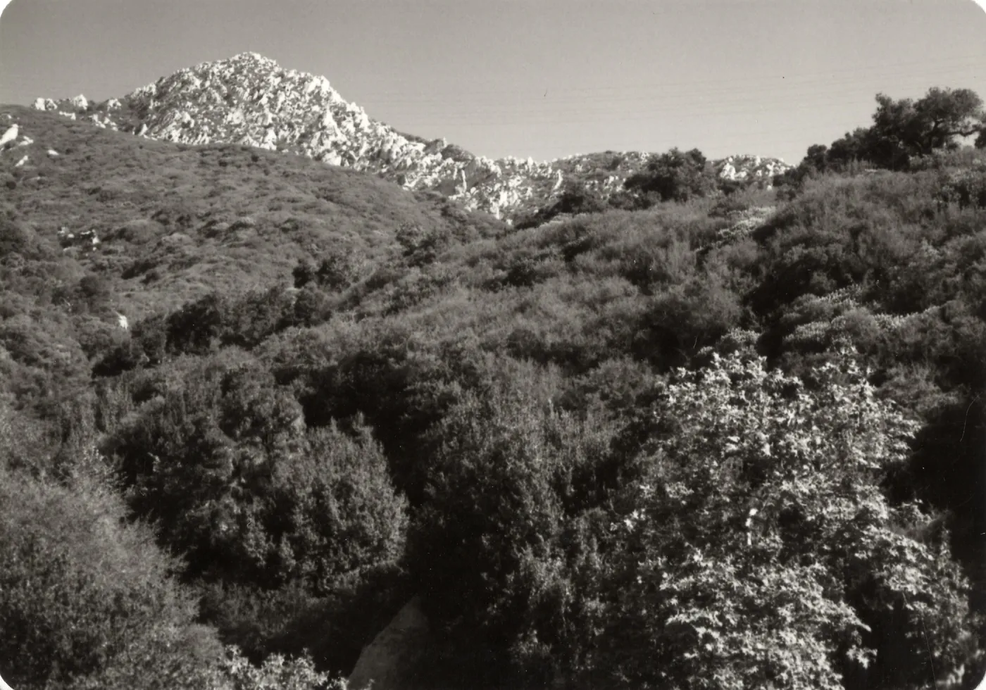 Mission Canyon: Tunnel Trail, spine up to Arlington Peak, Mission Canyon above SBBG