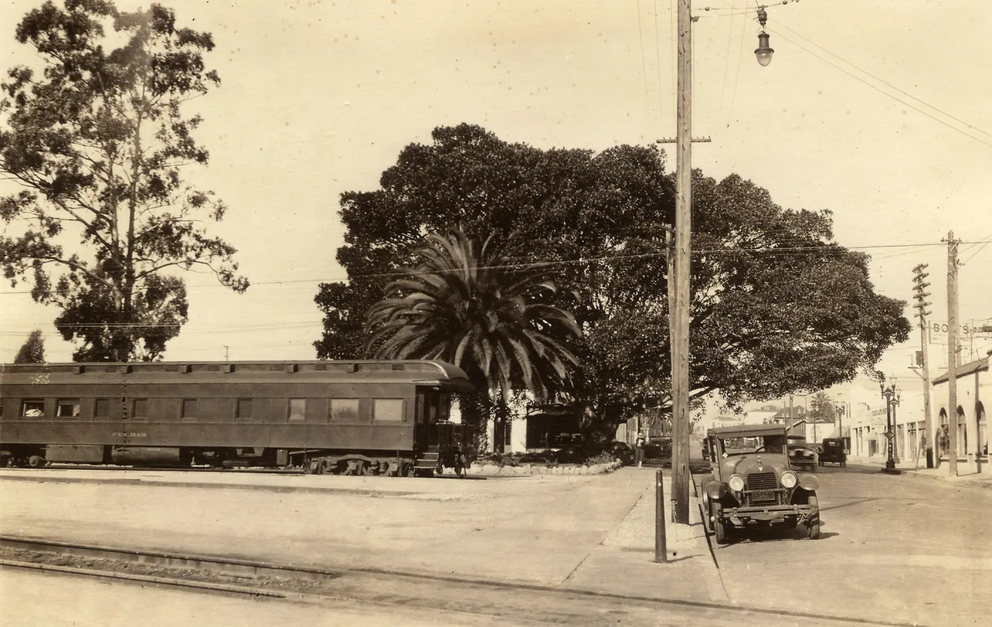 Black and white photograph of city street with car and train in front of large tree. 