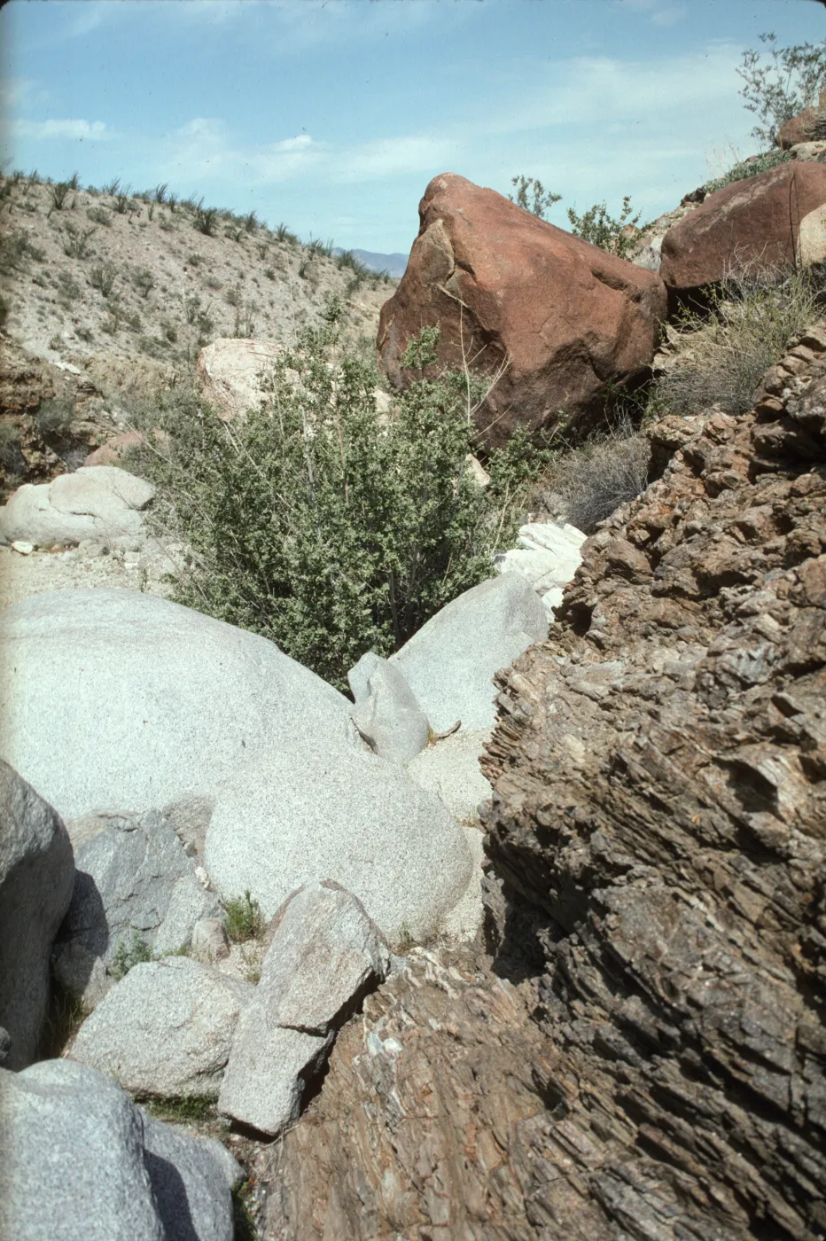 Anza Borrego Nude Wash Geology
