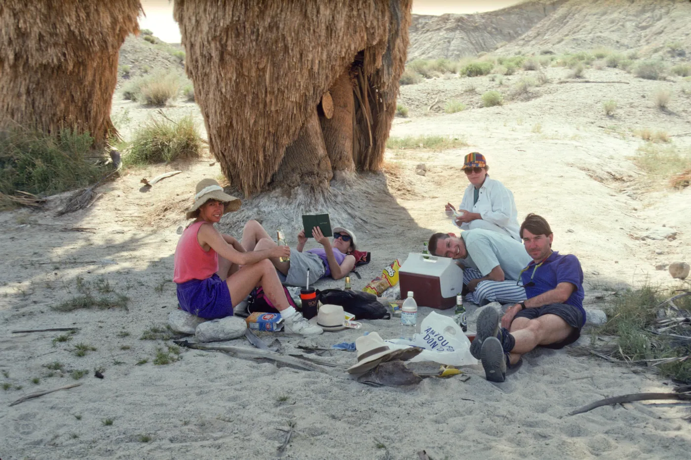 Anza-Borrego 17 Palms