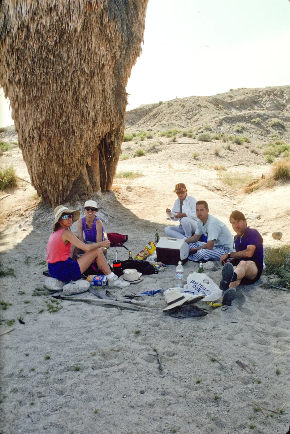 Anza-Borrego Desert State Park, 17 Palms