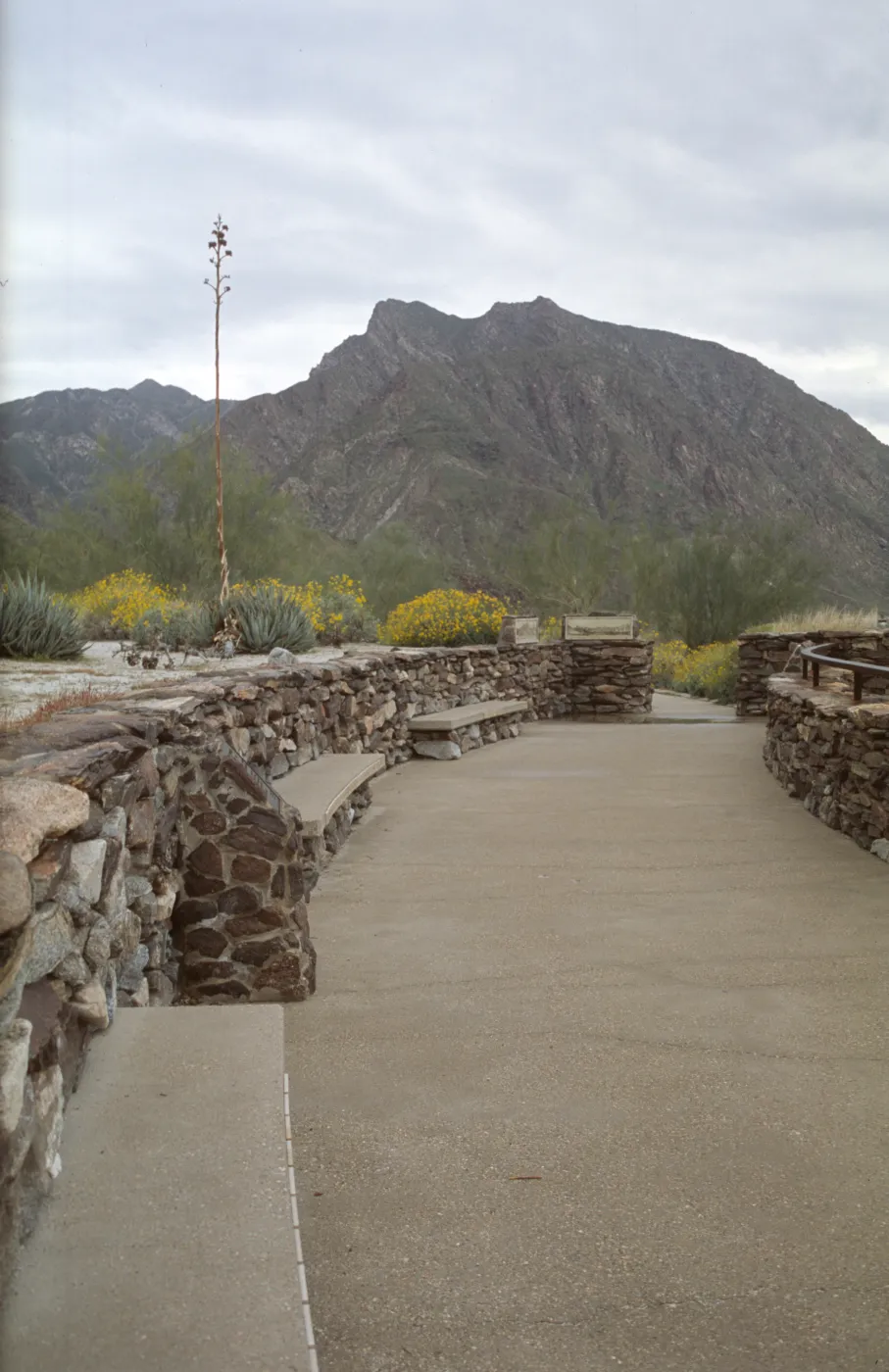 Anza-Borrego Visitor Center