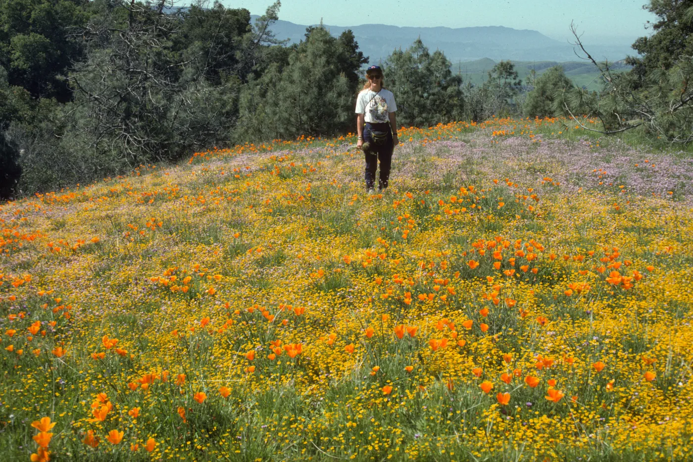 Betsy Collins in a field of wildflowers