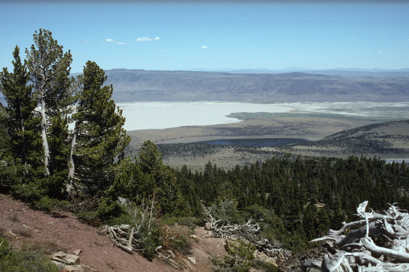 View from Warner Mountain