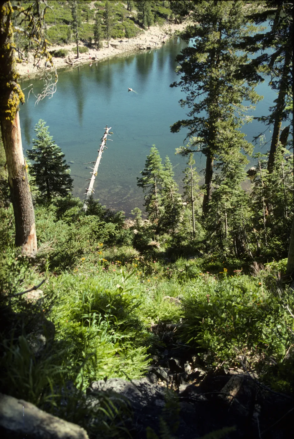Kangaroo Lake from top of stream