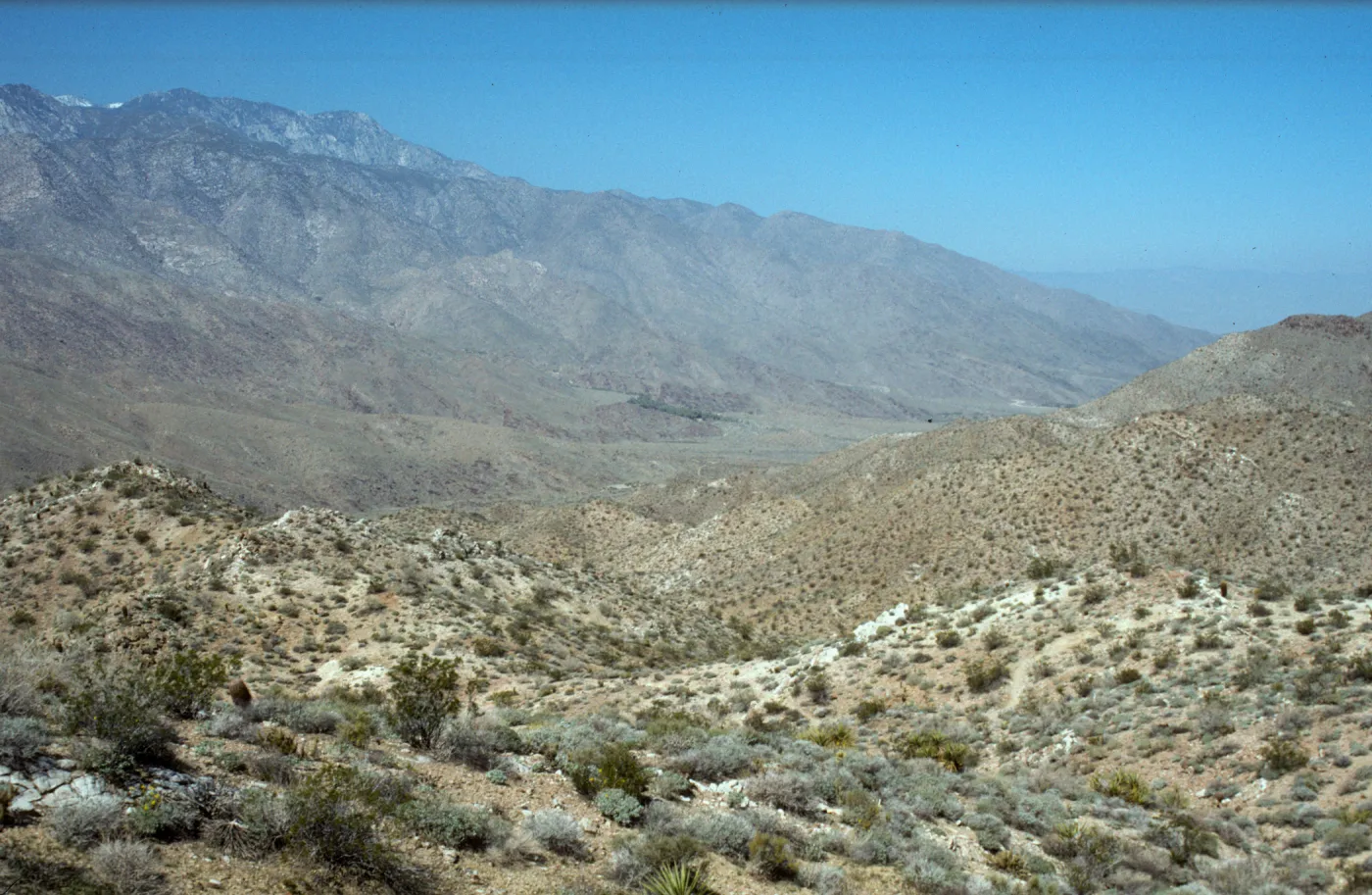 Panorama, Palm Canyon