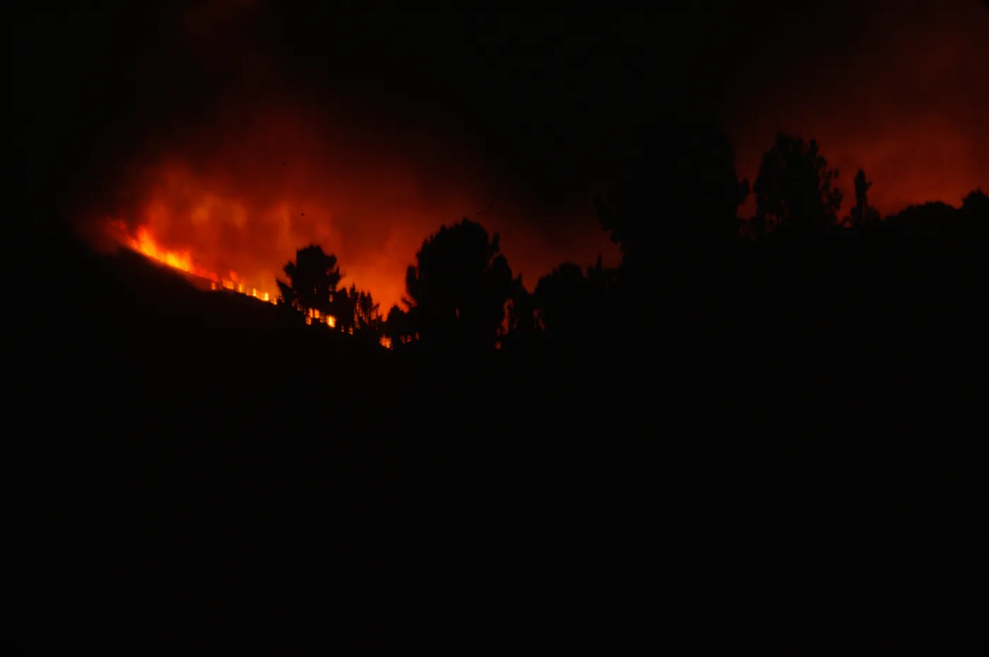 Coyote Fire, as seen from the Santa Barbara Botanic Garden Meadow