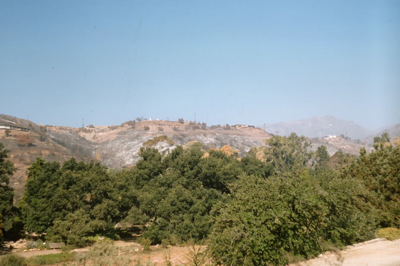 Coyote Fire aftermath, burned ridge west of Santa Barbara Botanic Garden