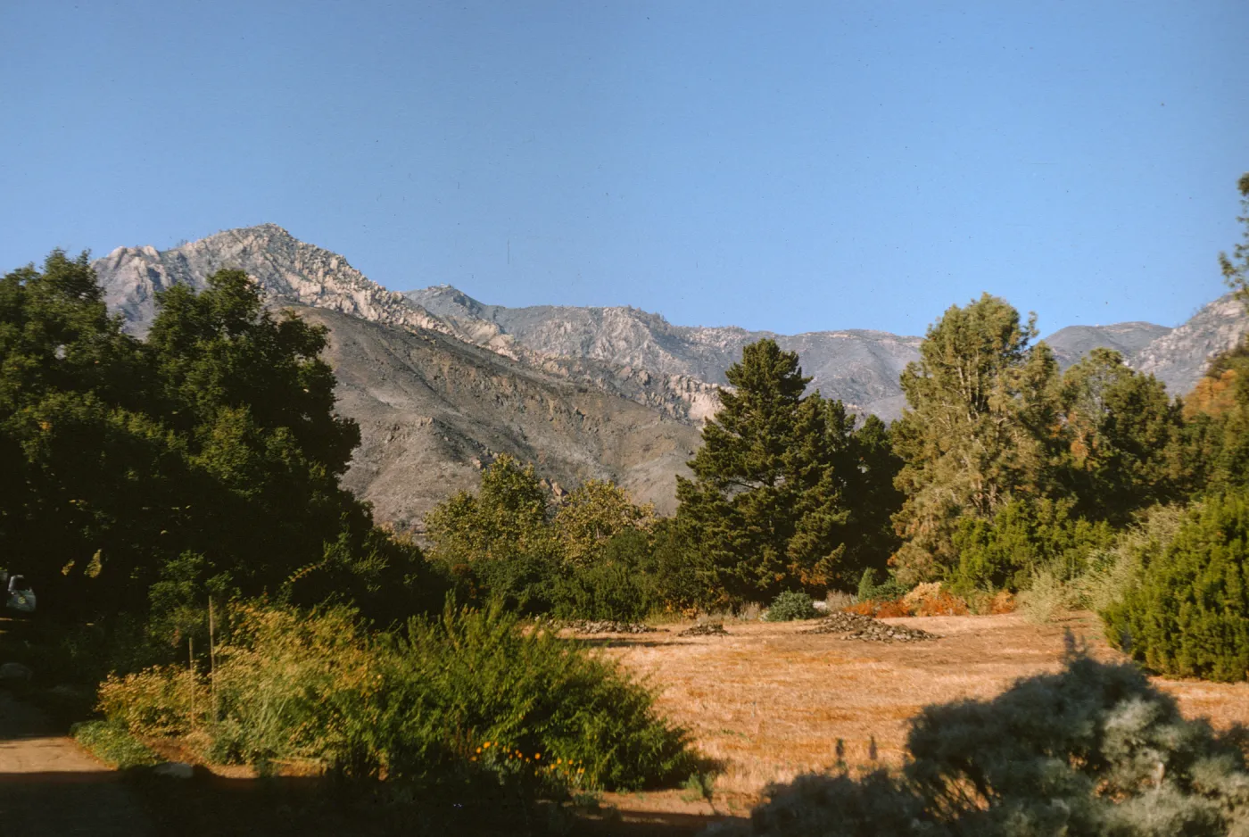 Santa Ynez Mountains burned by Coyote Fire, Garden Meadow fall
