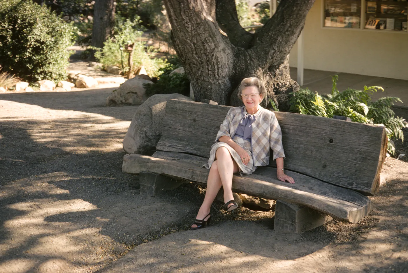 An older woman in a checkered, pale suit smiles while sitting on a large wooden bench at the edge of a stone and gravel path. The bench is made of a large, roughly cut log and sits beneath a tree with a triple trunk. 