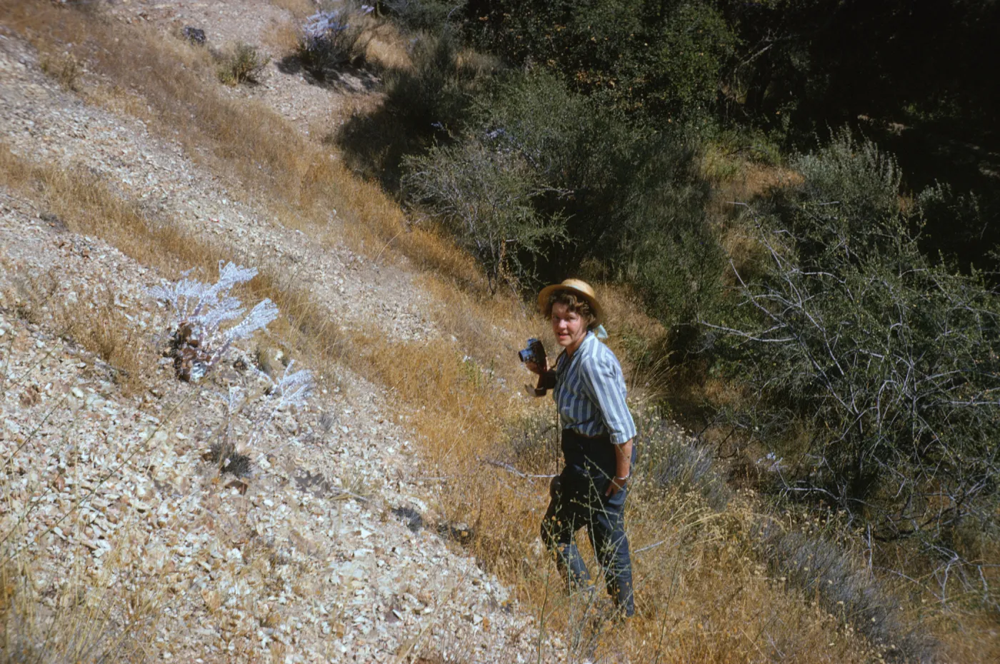A woman holding a camera wearing a blue and white striped shirt and straw hat stands on a steep, rocky incline striped with brown grasses.  