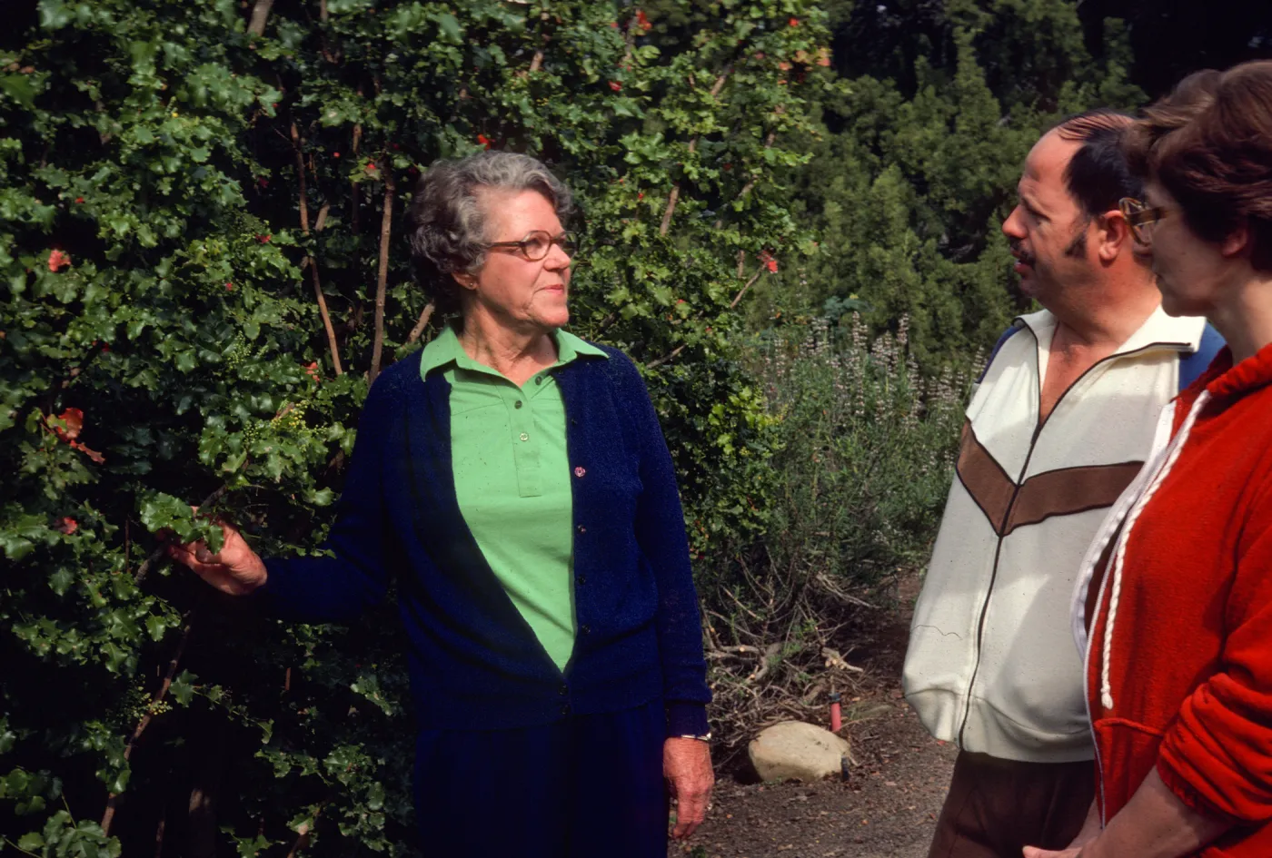 An older woman in royal blue gestures toward a tall, thick bush while addressing a balding man wearing white and brown and a younger woman in a read sweatshirt. 