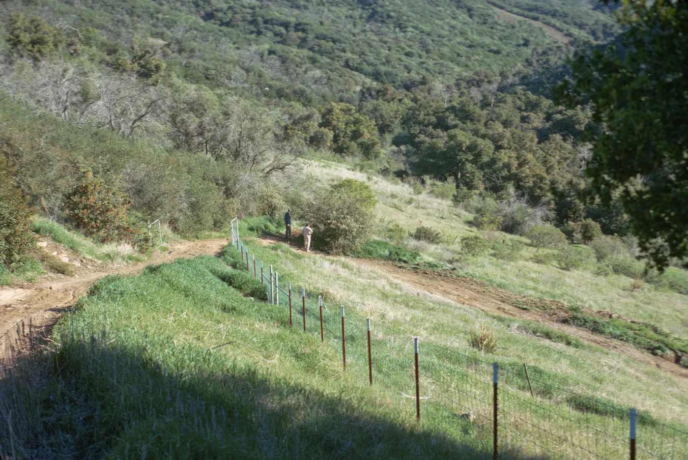 A dirt road descends down a grassy slope dotted with bushes and trees alongside an orange-posted wire fence. Two men, one in white and one in navy blue, stand in the distance alongside the road. 