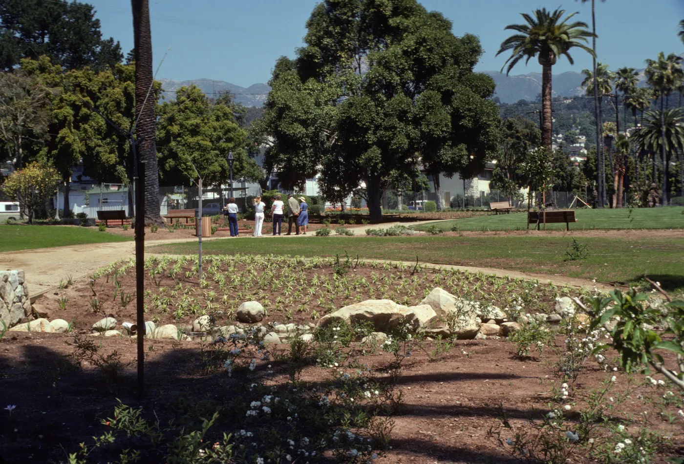 Short, grassy plants, some bearing clusters of white flowers, grow in beds of soil separated by paths and lines of stones. In the distance, a group of five people examine one of the beds.