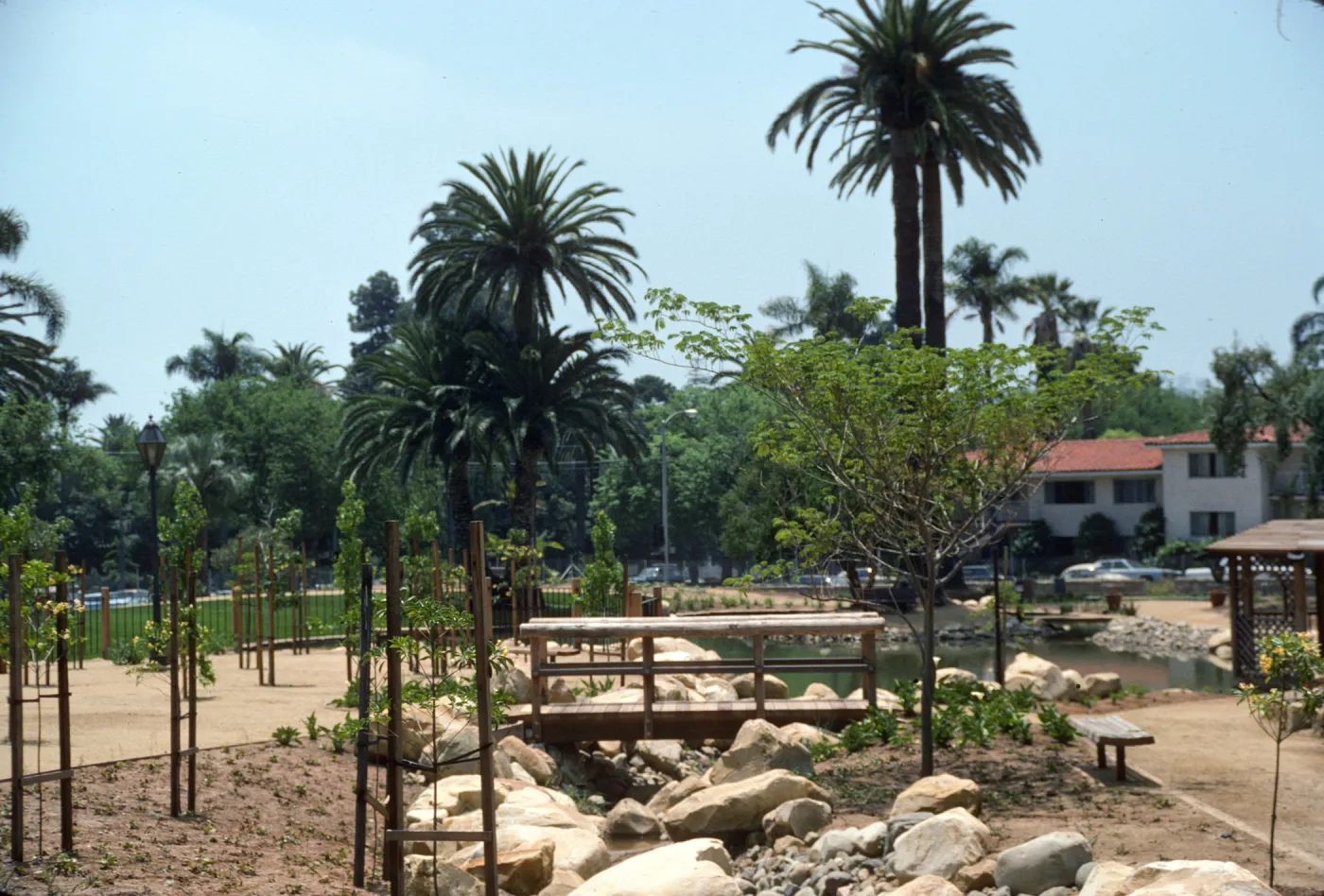 A narrow, rocky stream runs under a small wooden bridge that connects two paths surrounded by small plants and young trees supported by trellises. 