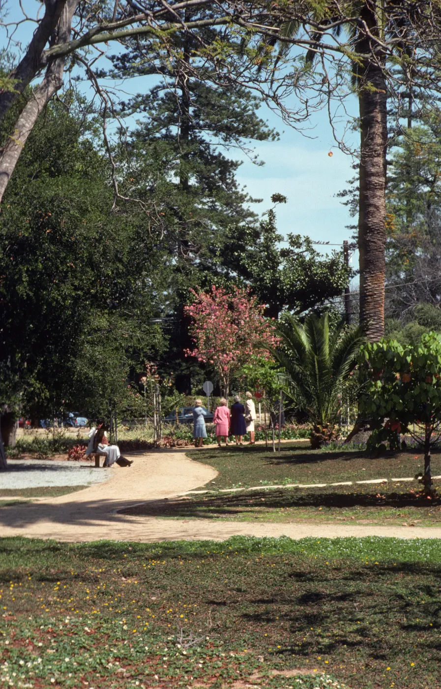 Four women in colorful suits stand at the end of a park path, looking in to the distance. Another, dark-haired, woman sits on a bench at the edge of the path.