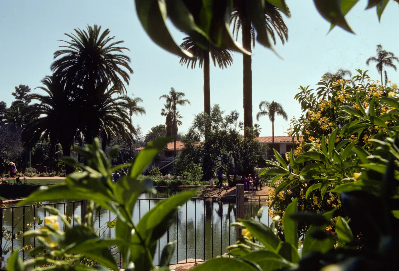 On the far side of a large pond, several people are enjoying a park, walking along paths or sitting on a bench in the shade of a tree at the edge of the pond. 