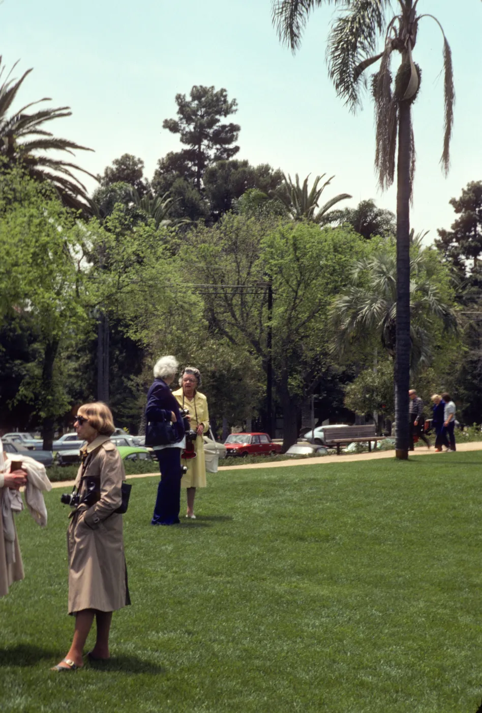 Two older people, one in a yellow dress and one in navy blue suit talk in a grassy yard adjacent to a road lined with old model cars. A woman in a tan trench coat with a camera talks to someone out of frame. 