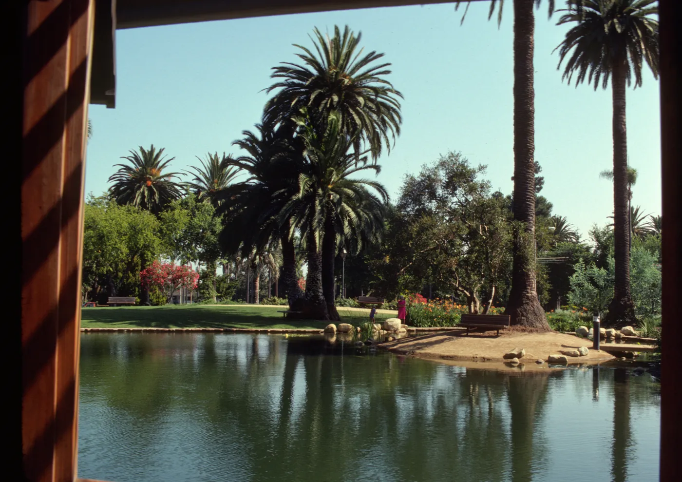 A bench sits beneath a huge palm tree on a sandy island in large pond. A grassy yard with orange flowering plants and more large palm trees is visible on the far side of the water feature. 