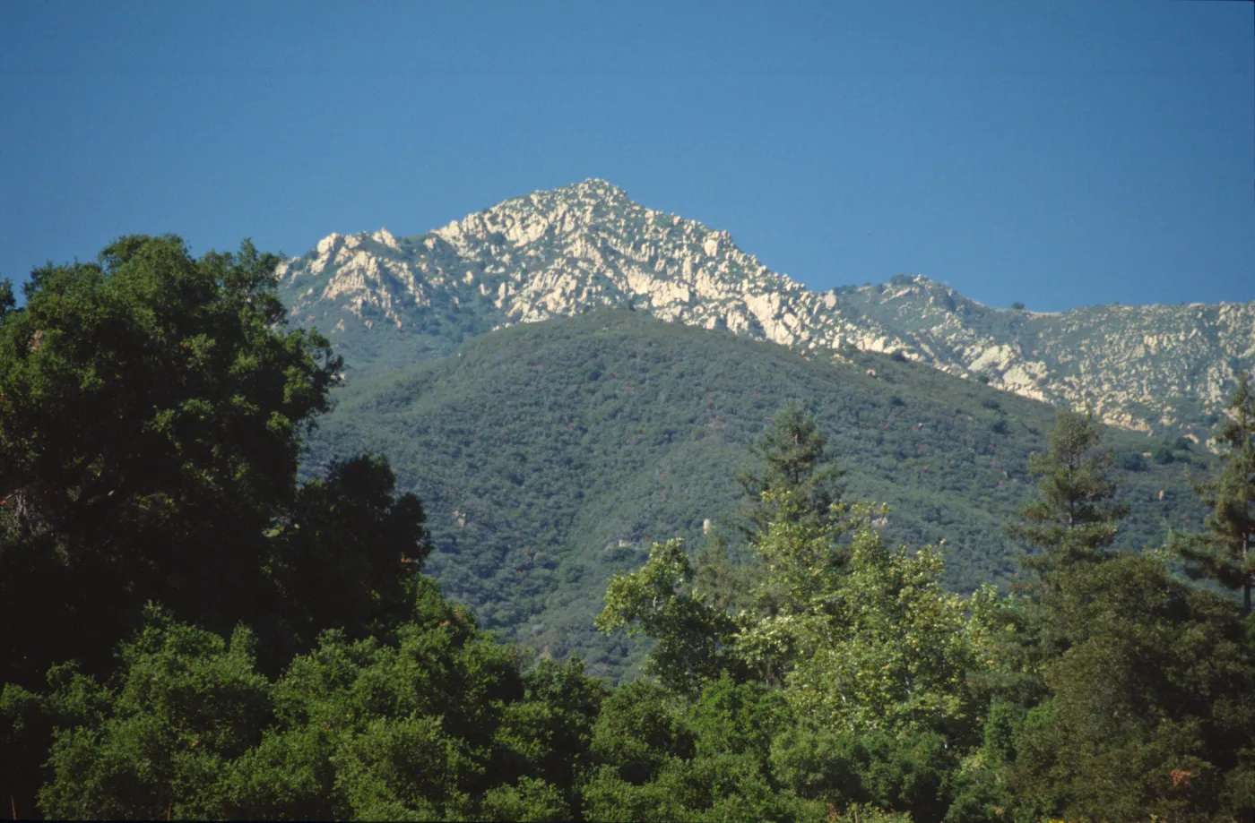 Santa Ynez Mountains from SBBG