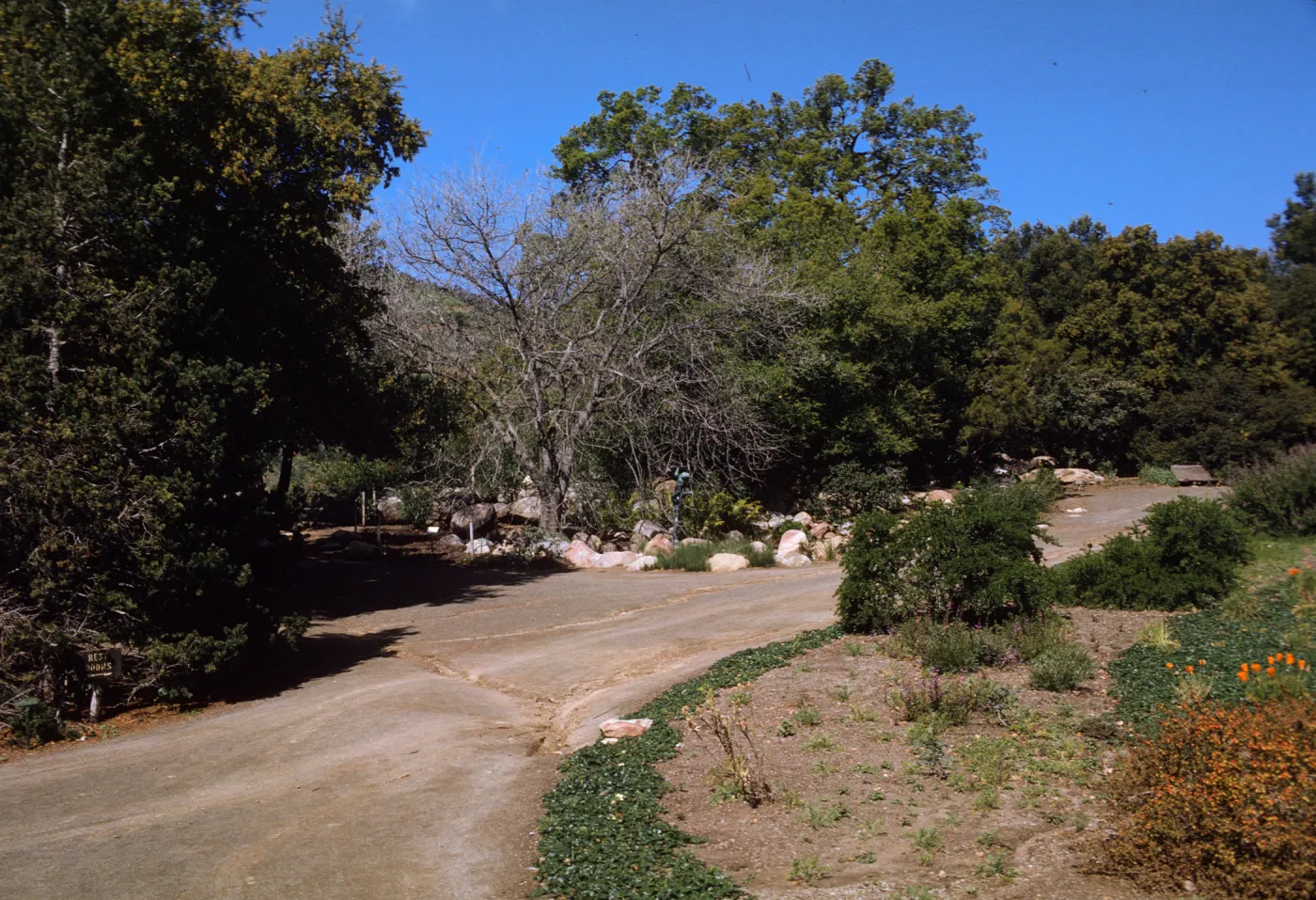 SBBG, Mission Canyon Road, Parking Lot Exit