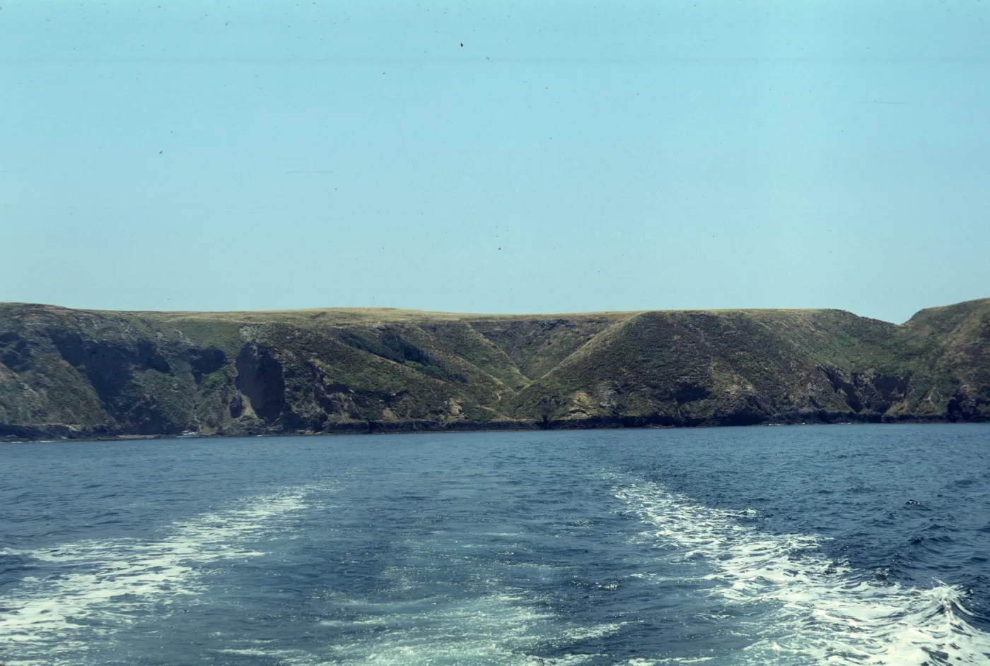 Middle Anacapa Island, Sheep Ranch
