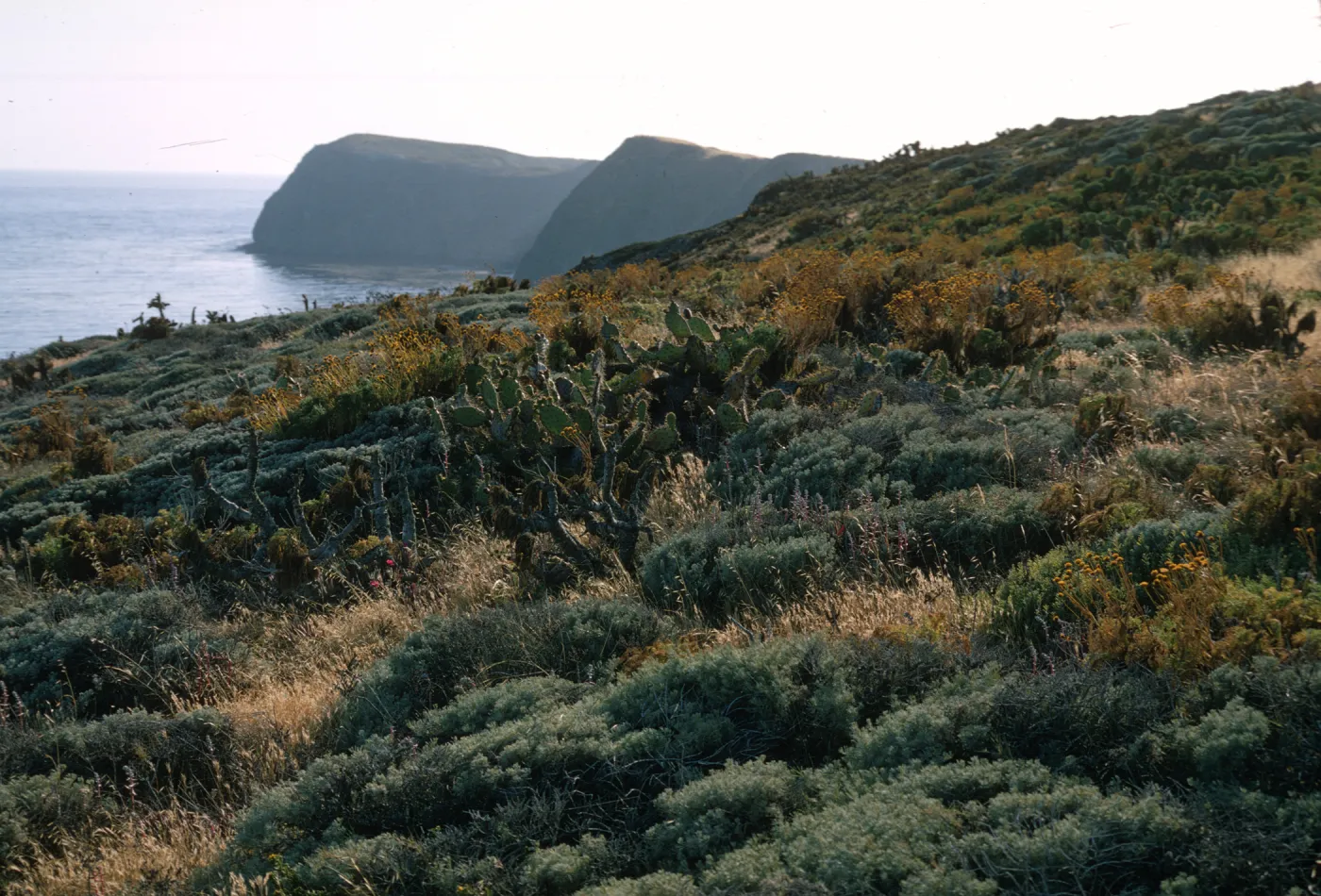 East Anacapa Island