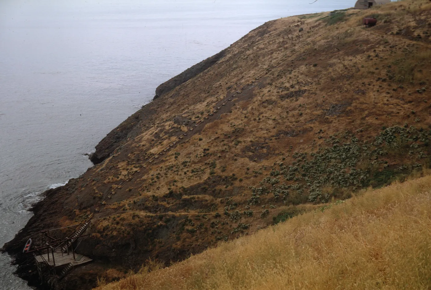 Landing Cove, Santa Barbara Island