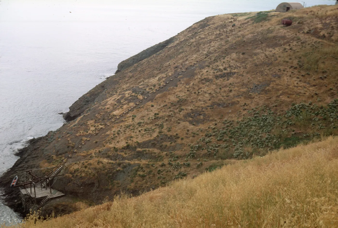 Santa Barbara Island, Landing Cove