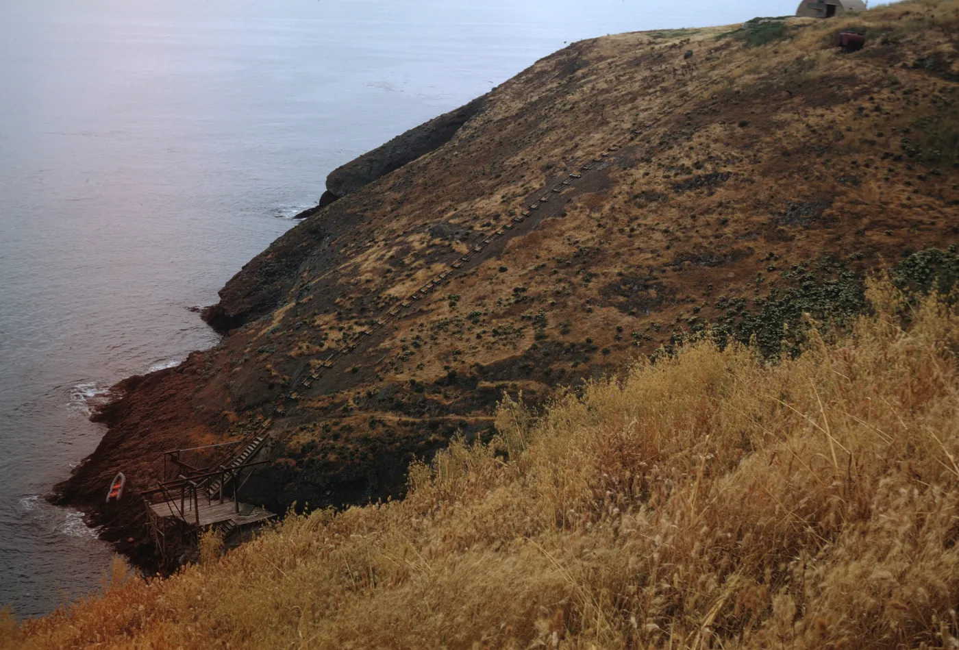 Santa Barbara Island, Landing Cove