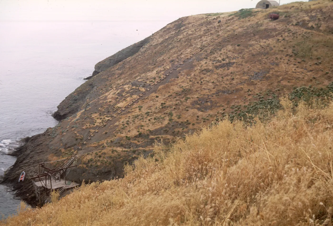 Santa Barbara Island, Landing Cove