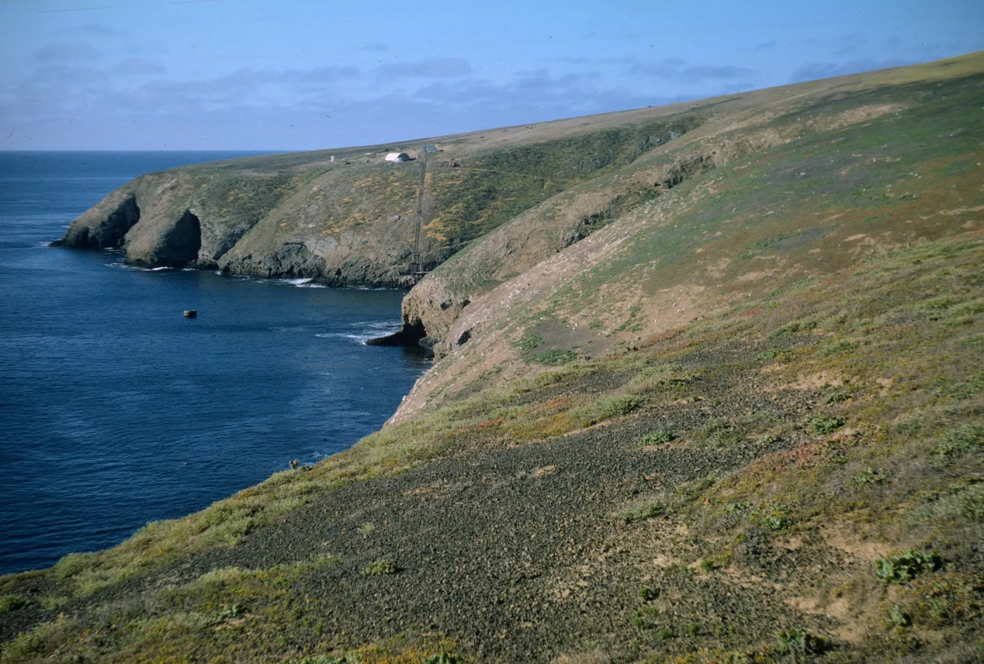 Landing Cove from Arch Point, Santa Barbara Island
