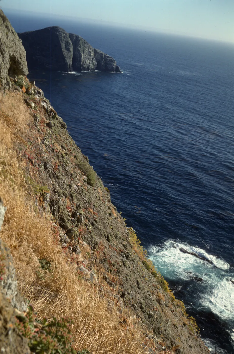 Steep cliffs on Santa Barbara Island