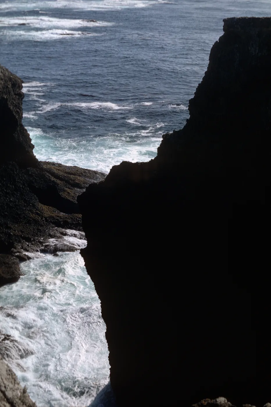 Santa Barbara Island, Webster Rock