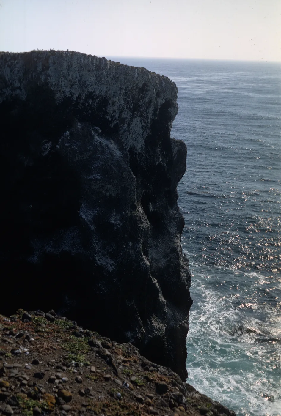 Santa Barbara Island, Webster Rock