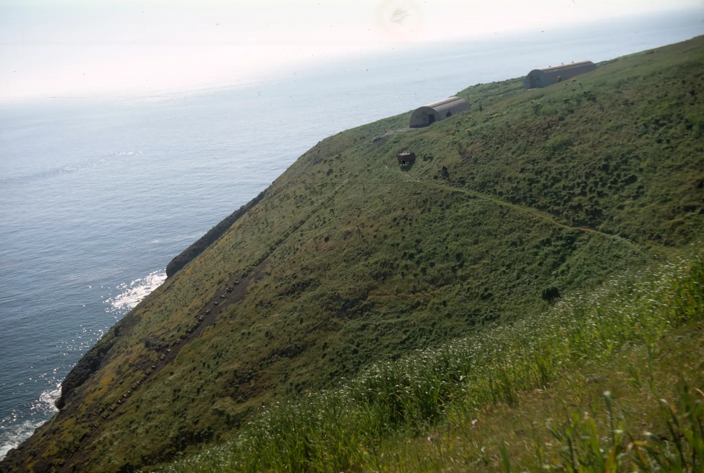 Santa Barbara Island