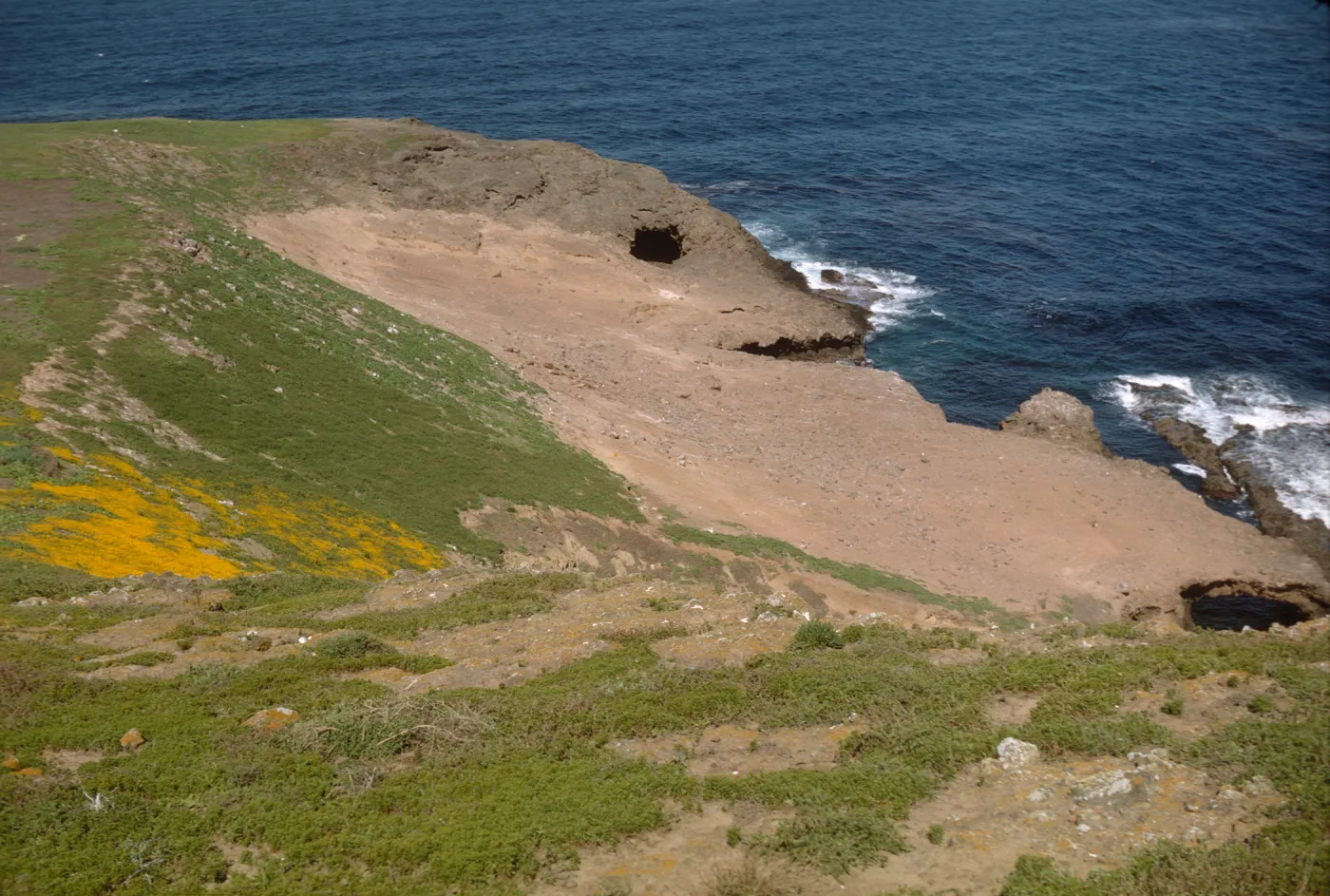 Santa Barbara Island