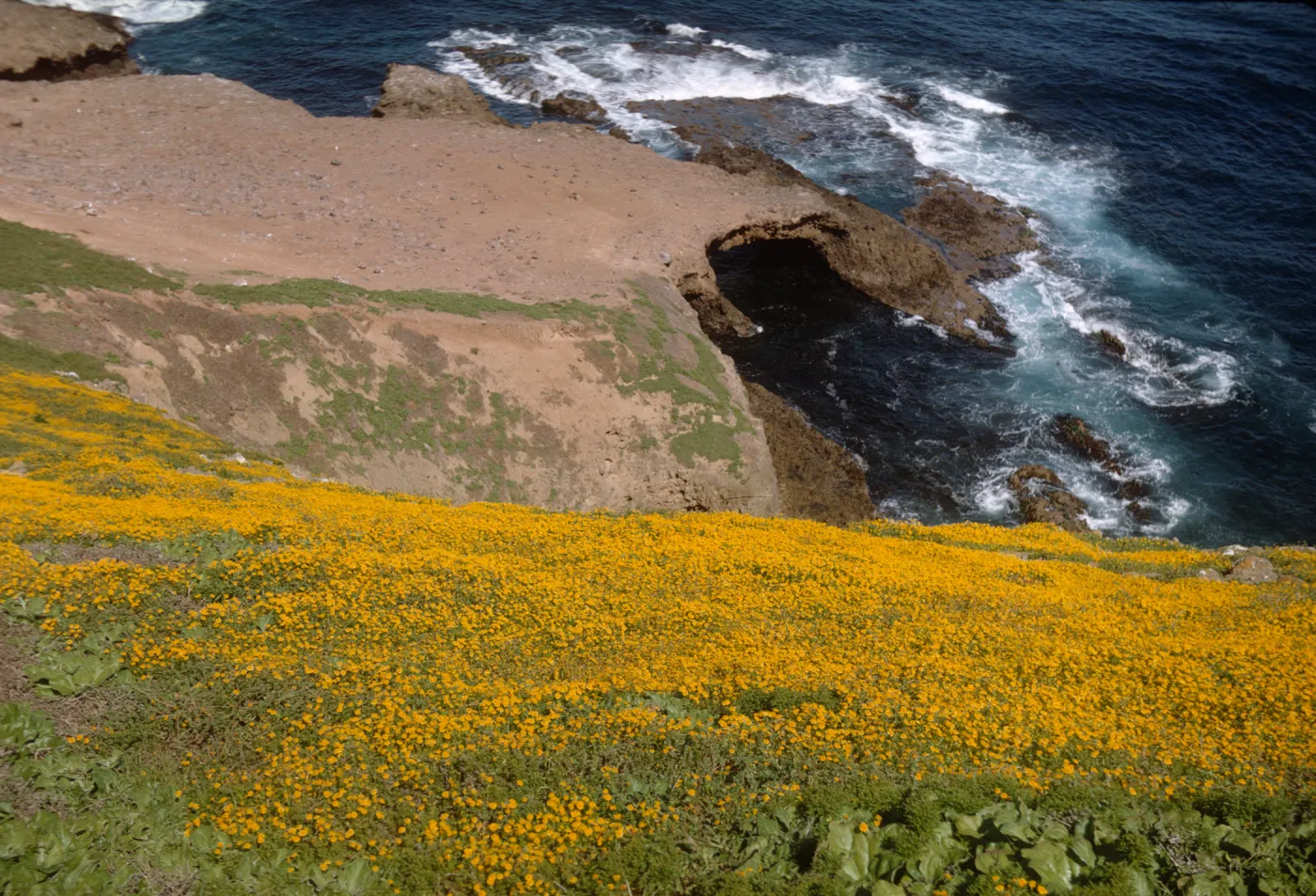Santa Barbara Island