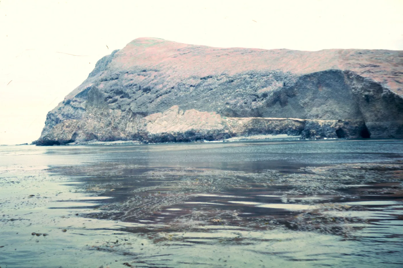 Signal Peak, Santa Barbara Island, May 1967