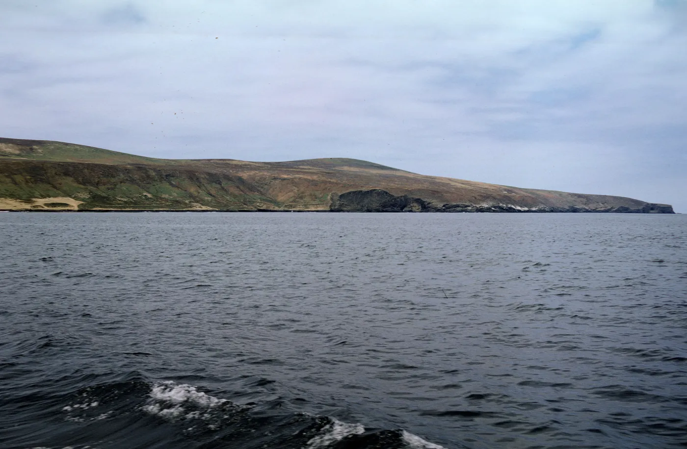 Santa Barbara Island, May 1967
