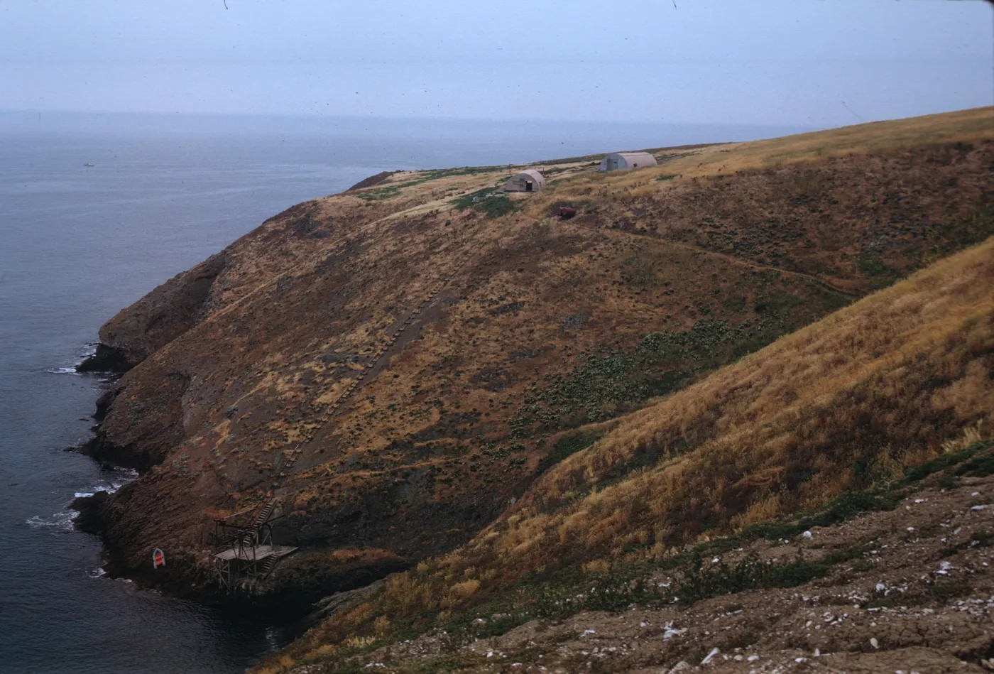 Landing Cove, Santa Barbara Island