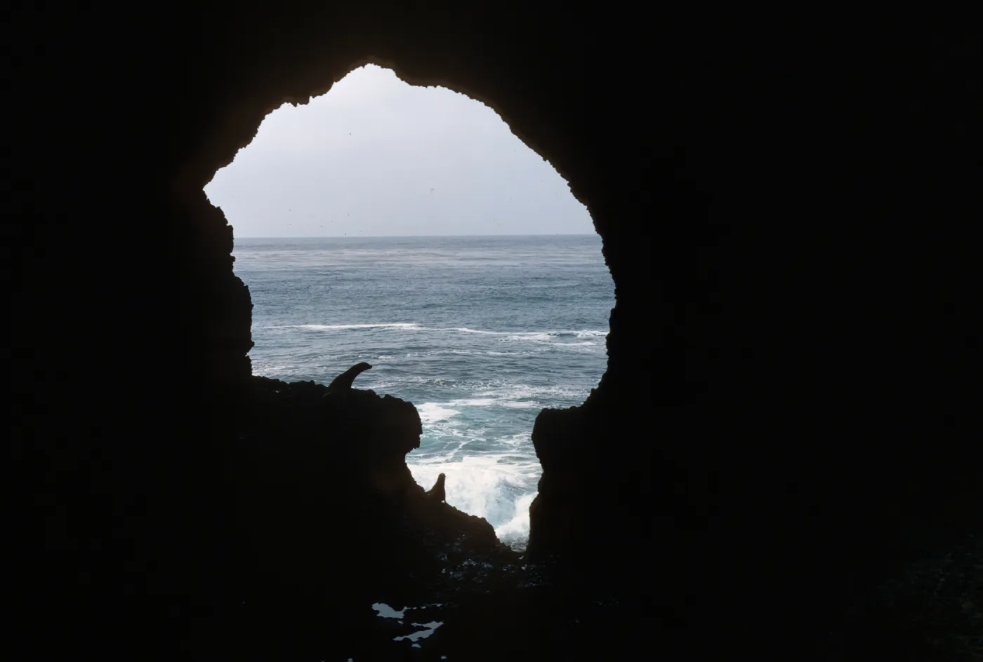 Santa Barbara Island
