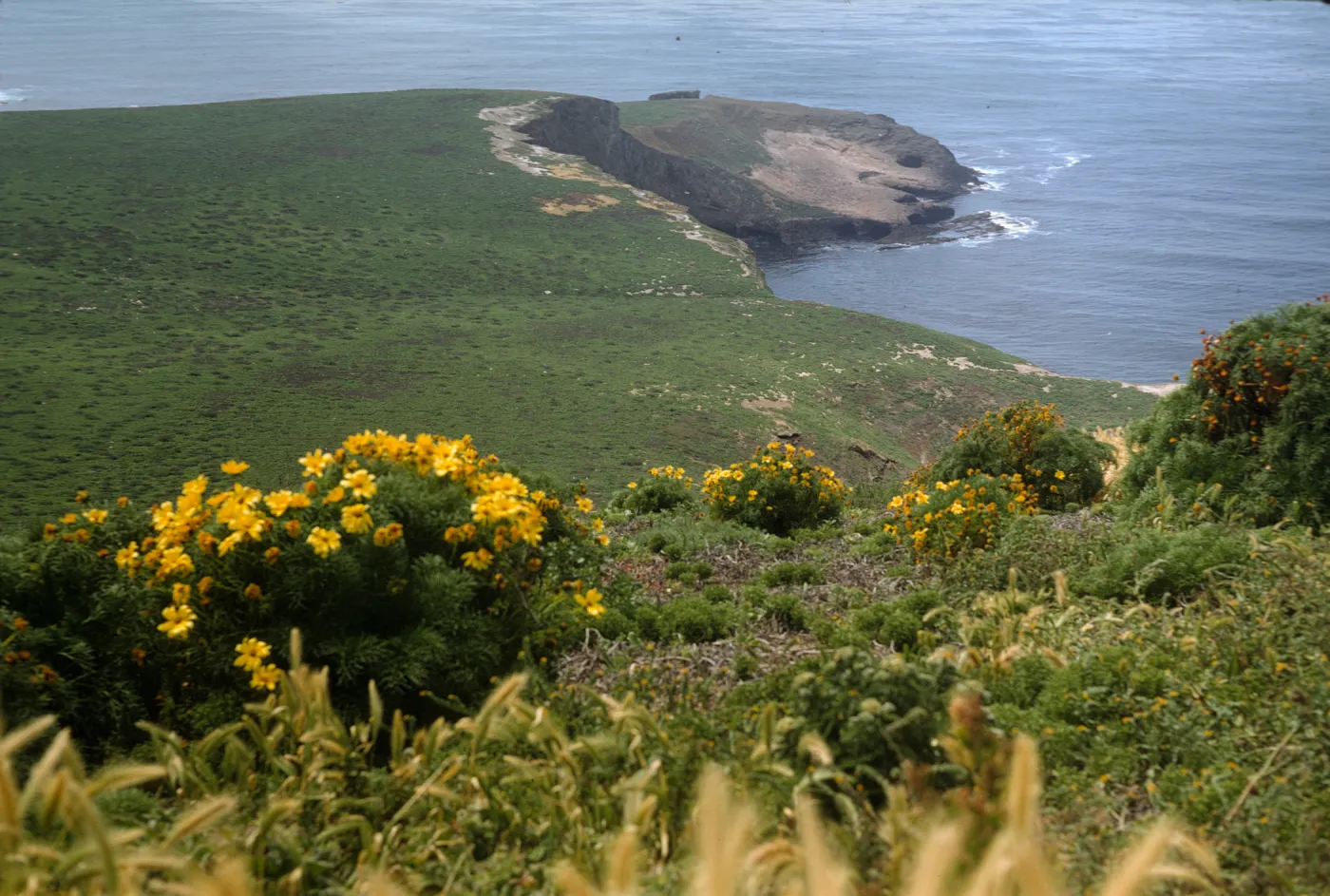 Santa Barbara Island