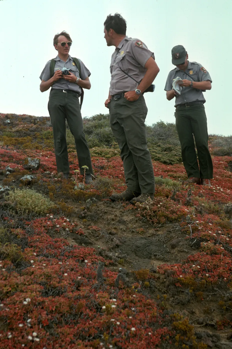National Park Service staff, Pete Margh, Mack Shaver, Ron Sutton, Santa Barbara Island