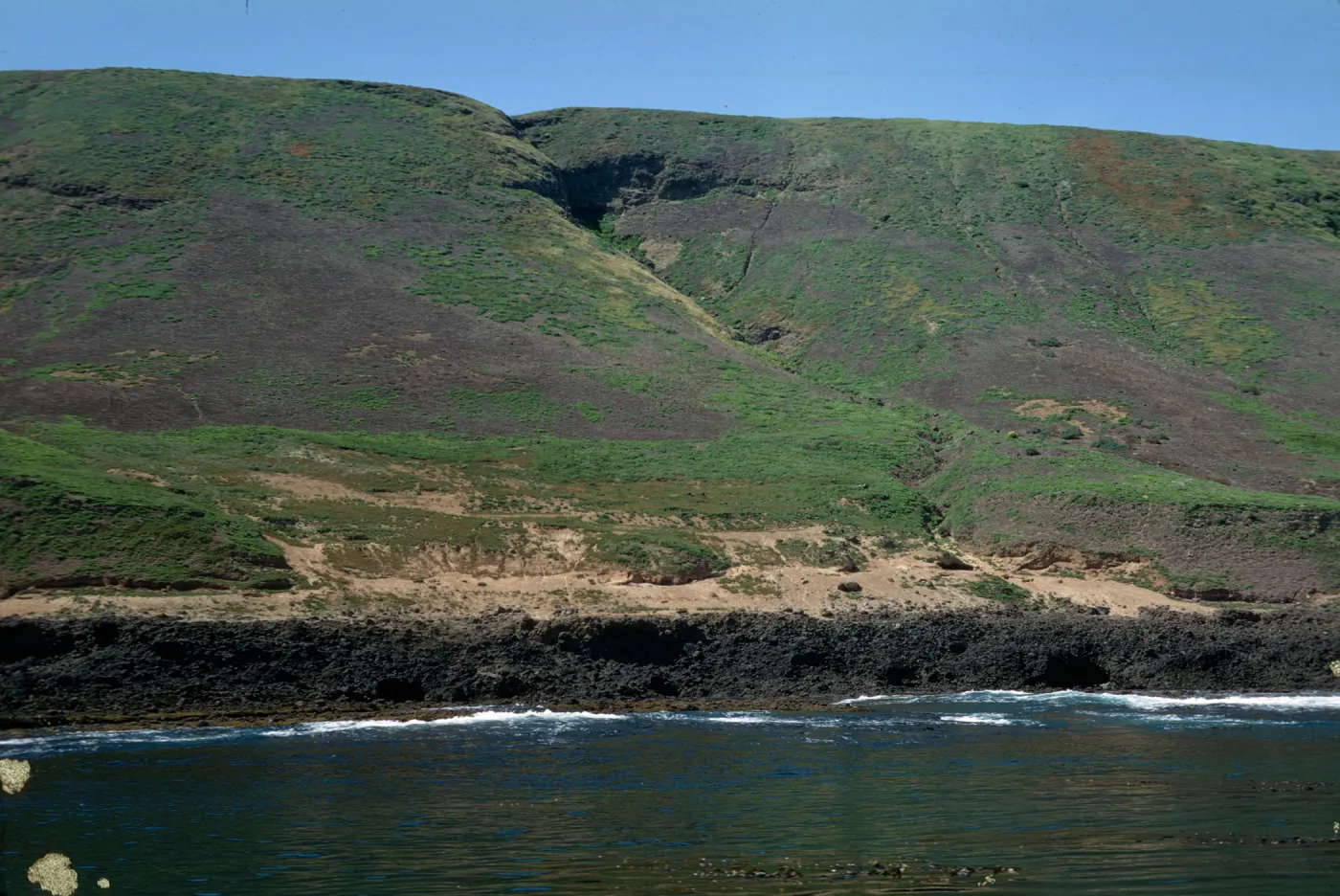 Santa Barbara Island, south of Graveyard Canyon