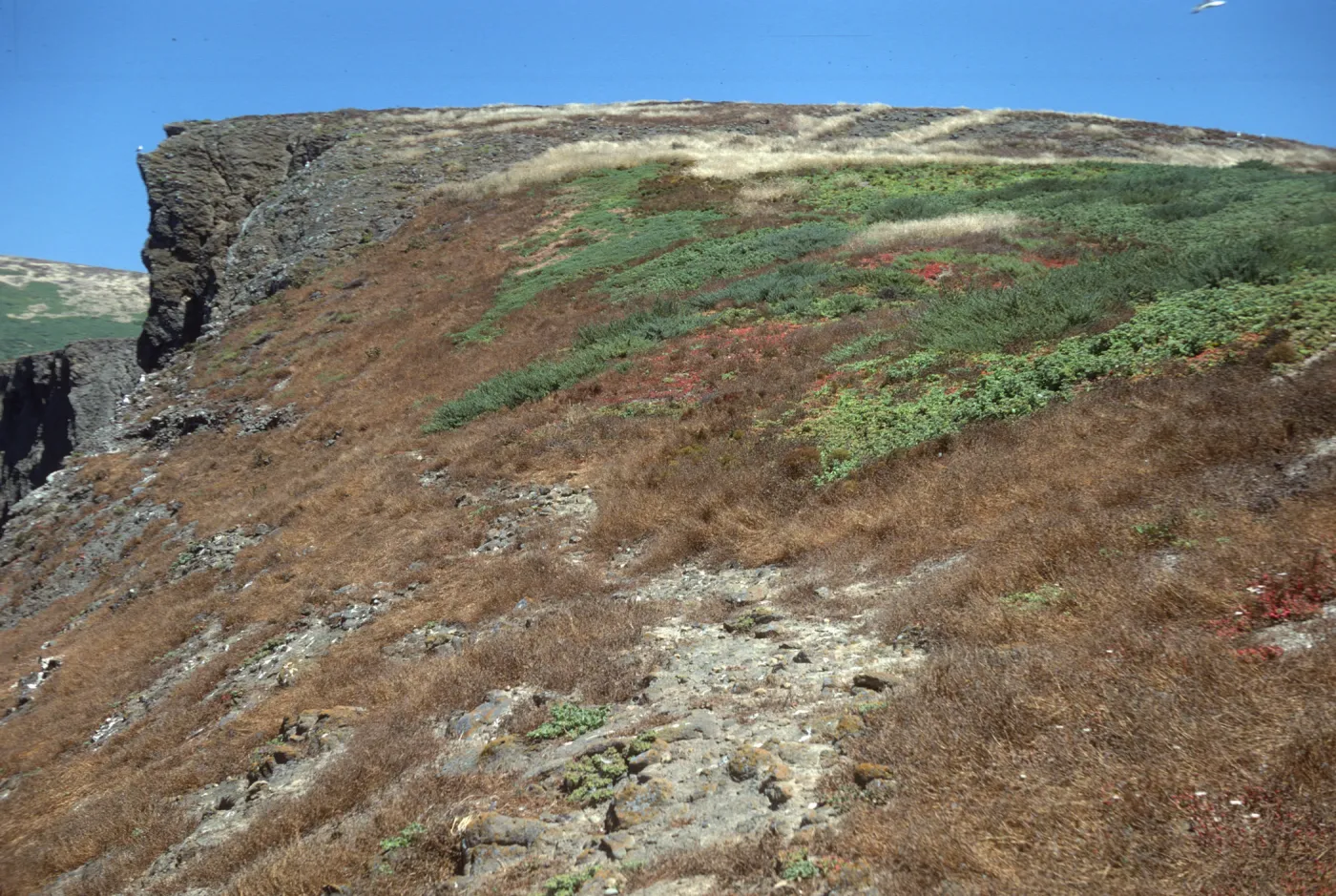 Santa Barbara Island