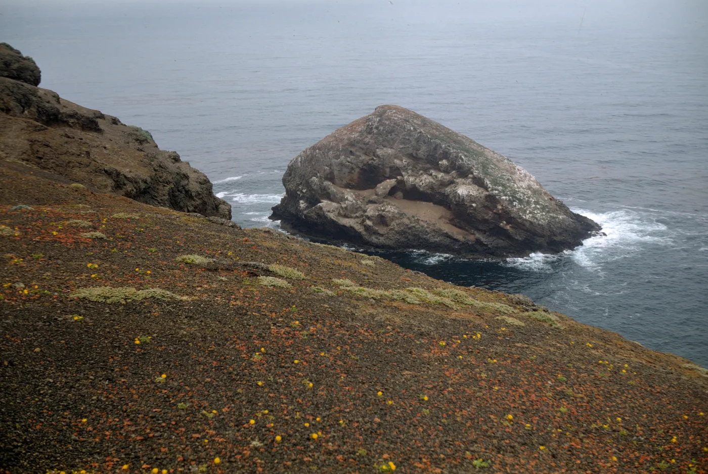 Shag Rock, Santa Barbara Island
