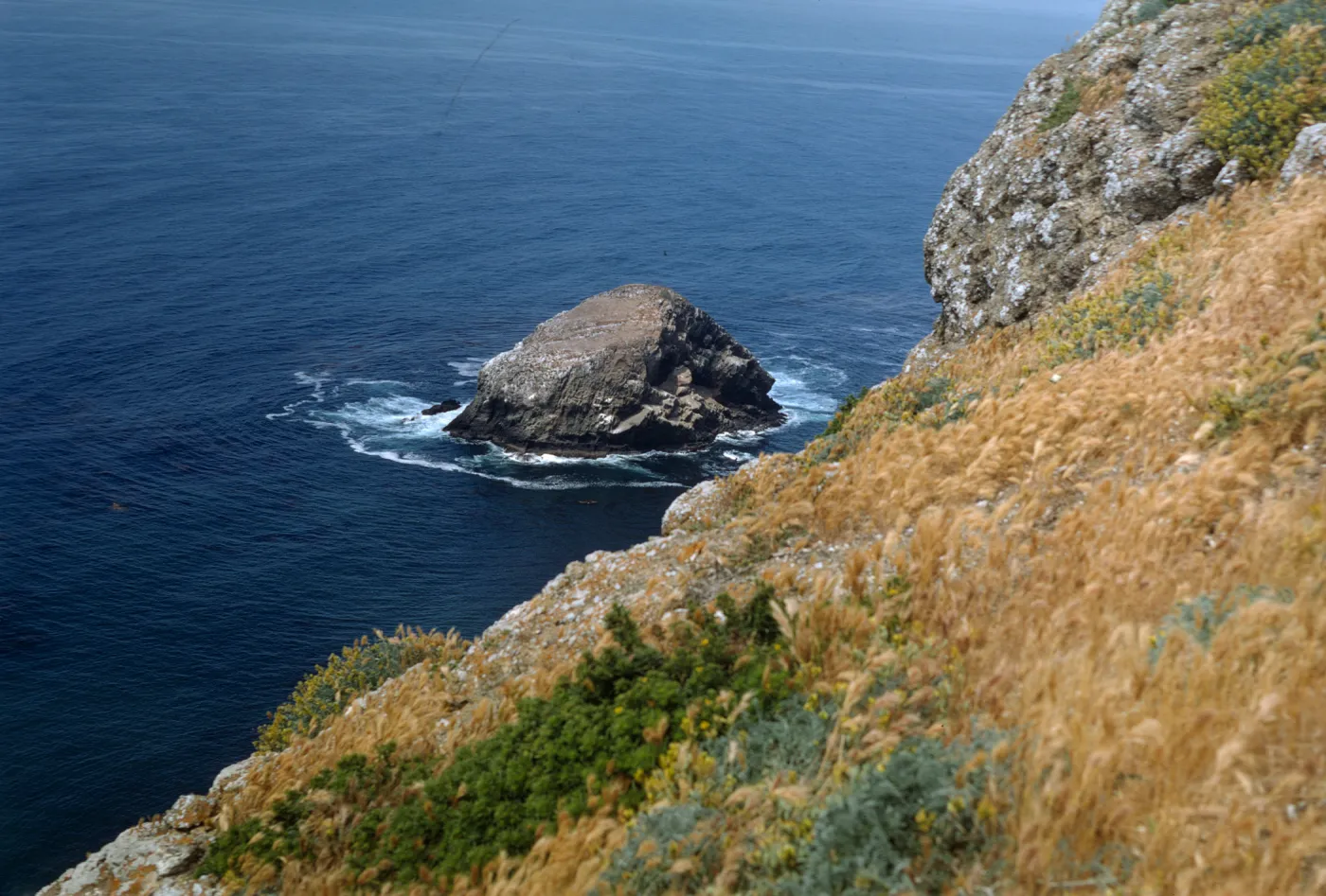 Shag Rock, Santa Barbara Island