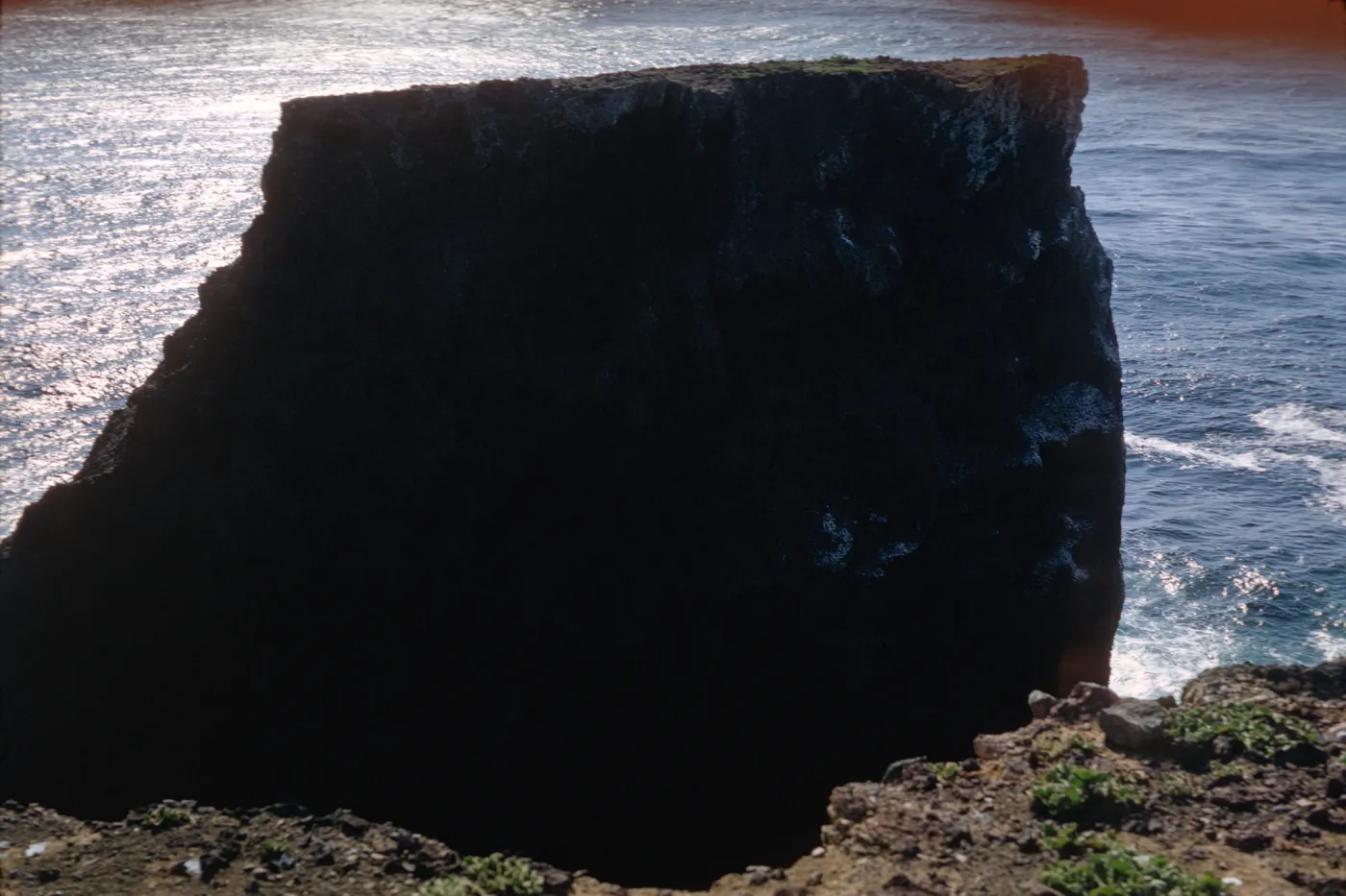 Webster Rock, Santa Barbara Island
