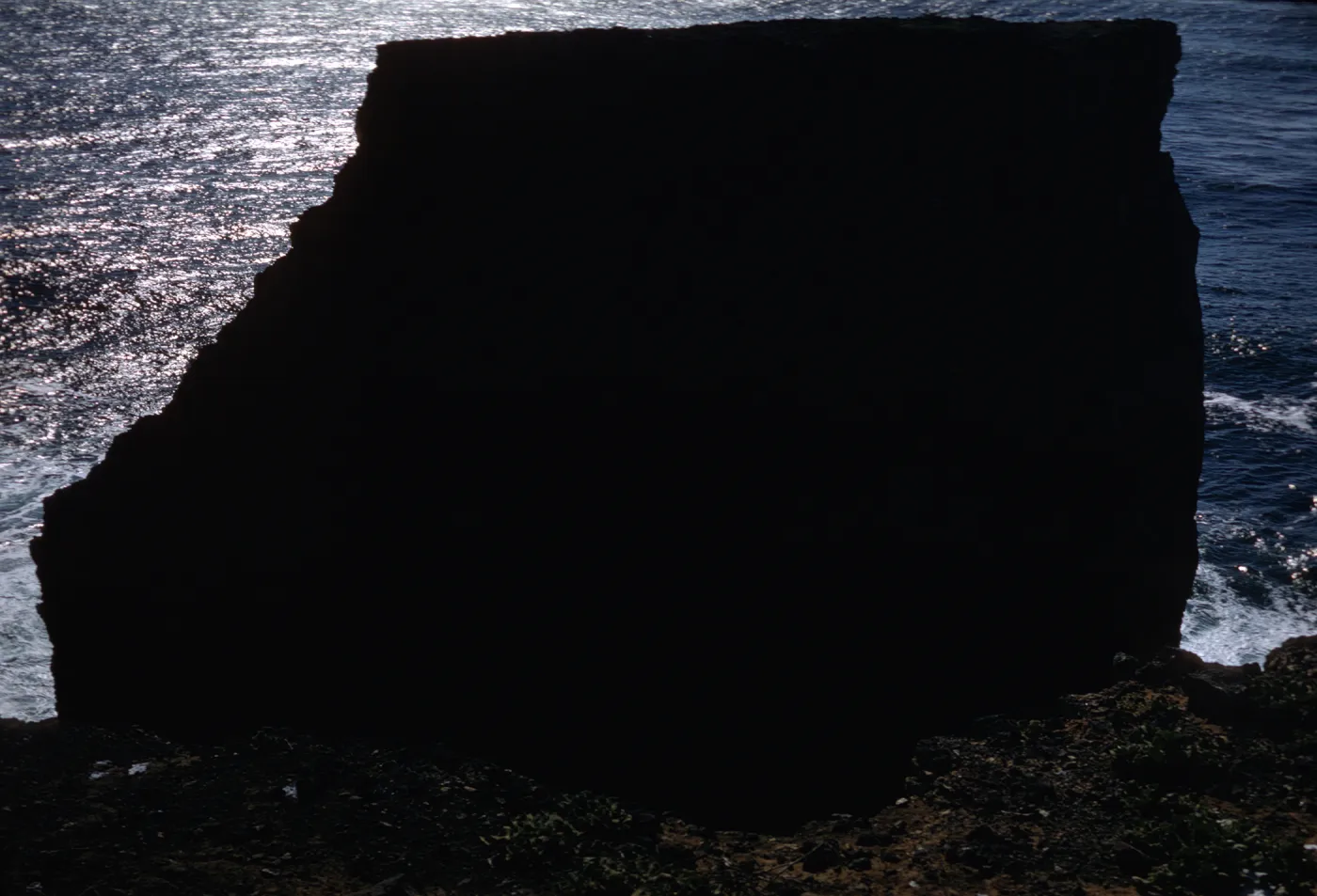 Webster Rock, Santa Barbara Island